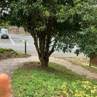 お疲れ様でした！
さあ、きららの湯へ！