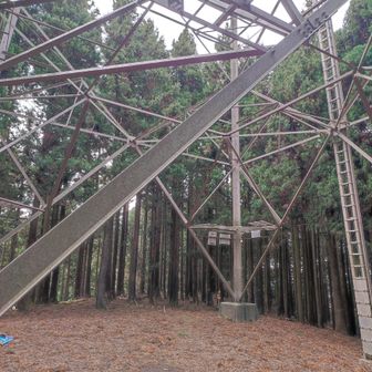 鉄塔が森の先に出て来ました。