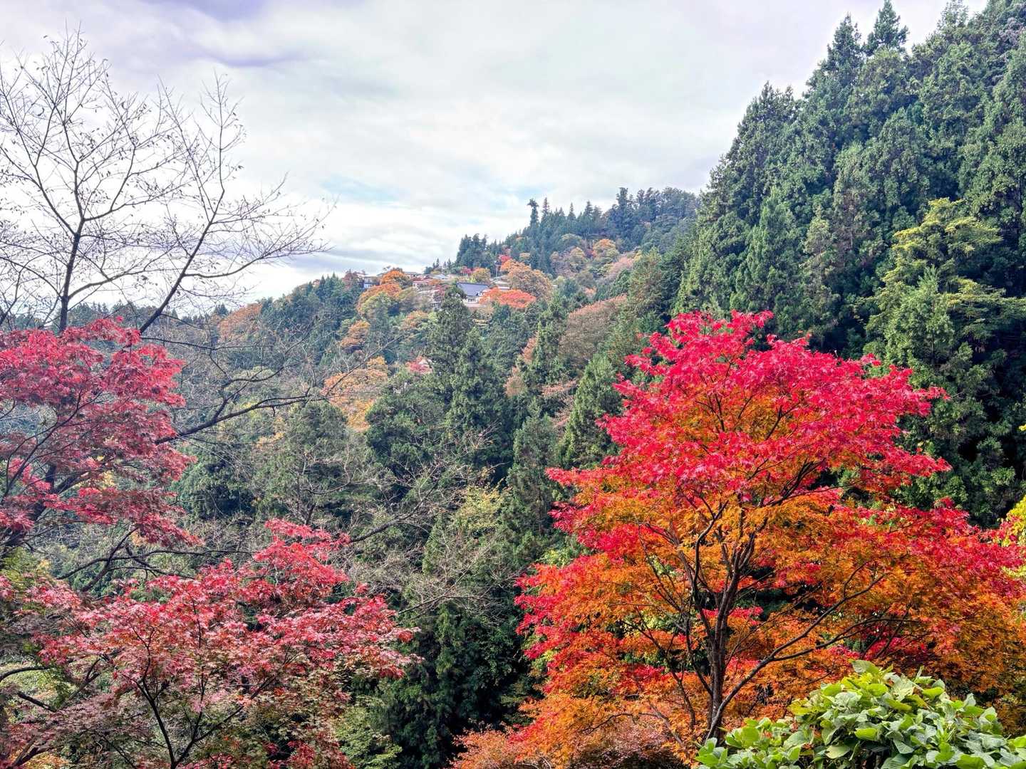 御岳山〜つるつる温泉｜ペットも歓迎の山上のパワースポットの写真
