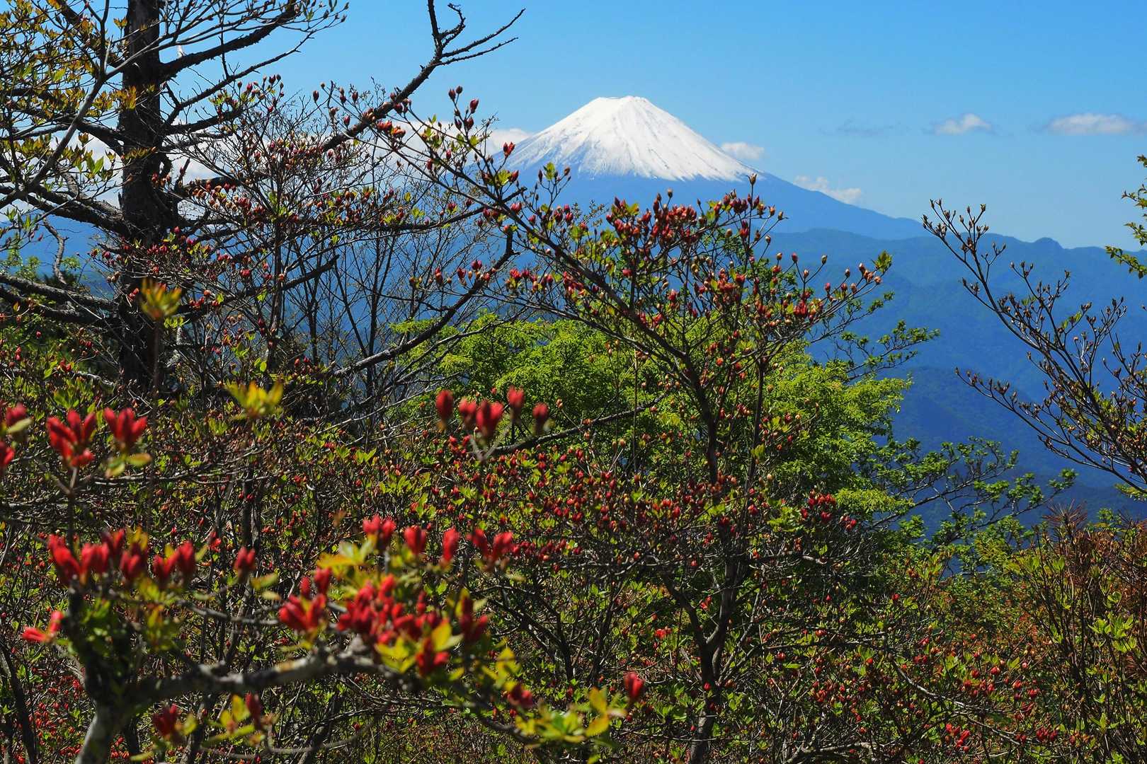 柳沢峠-鈴庫山-ハンゼノ頭-藤谷ノ頭-萩尾-倉掛山 周回コースの写真