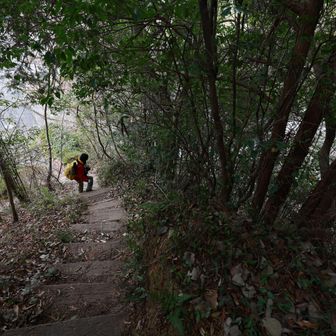 ワンヘルスの小径、を下りて