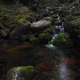 仙水小屋を下ると非常に美しい渓流