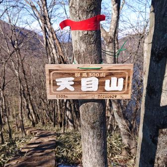 天目山とうちゃーく！
1,303m

ワッショイ！！