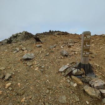 直下の分岐。聖からの稜線と合流します