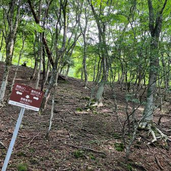 西の台分岐の標識2。