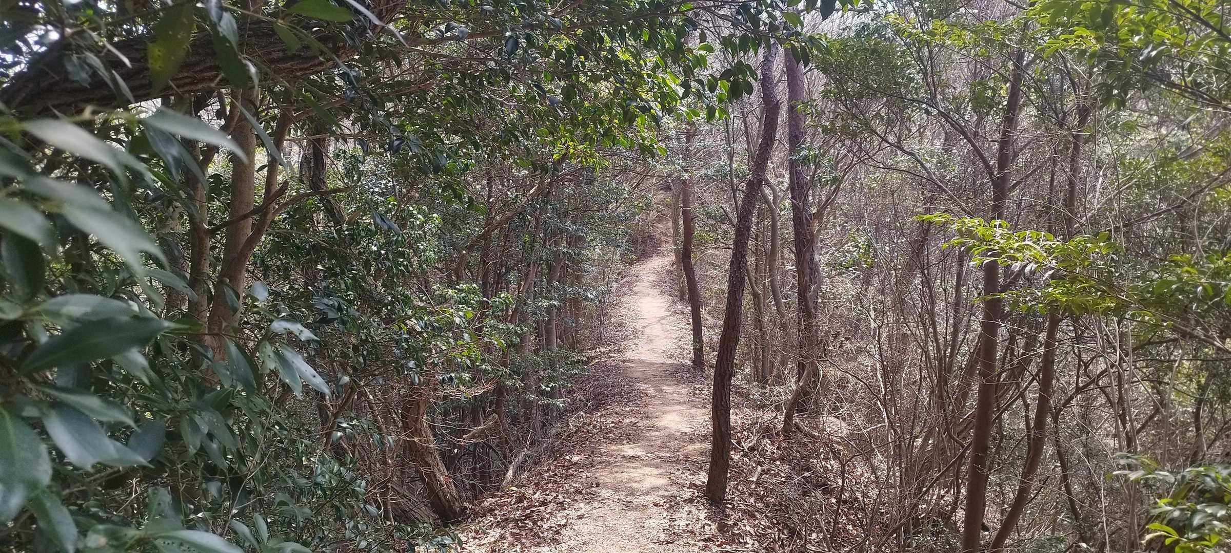 小麦ヶ岳-蕎麦ヶ岳 往復コースの写真