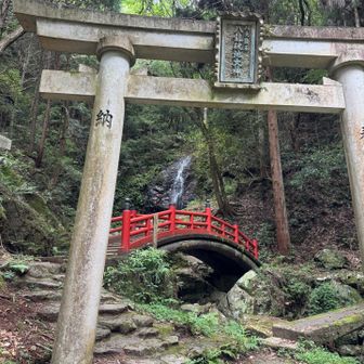 更に遠目から