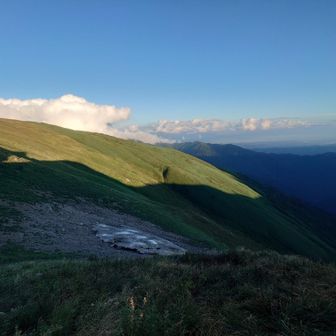 夕方になってまた晴れてきました