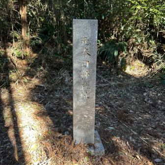 こちらの神社址が山頂かと思いきや、まだ先がある模様。