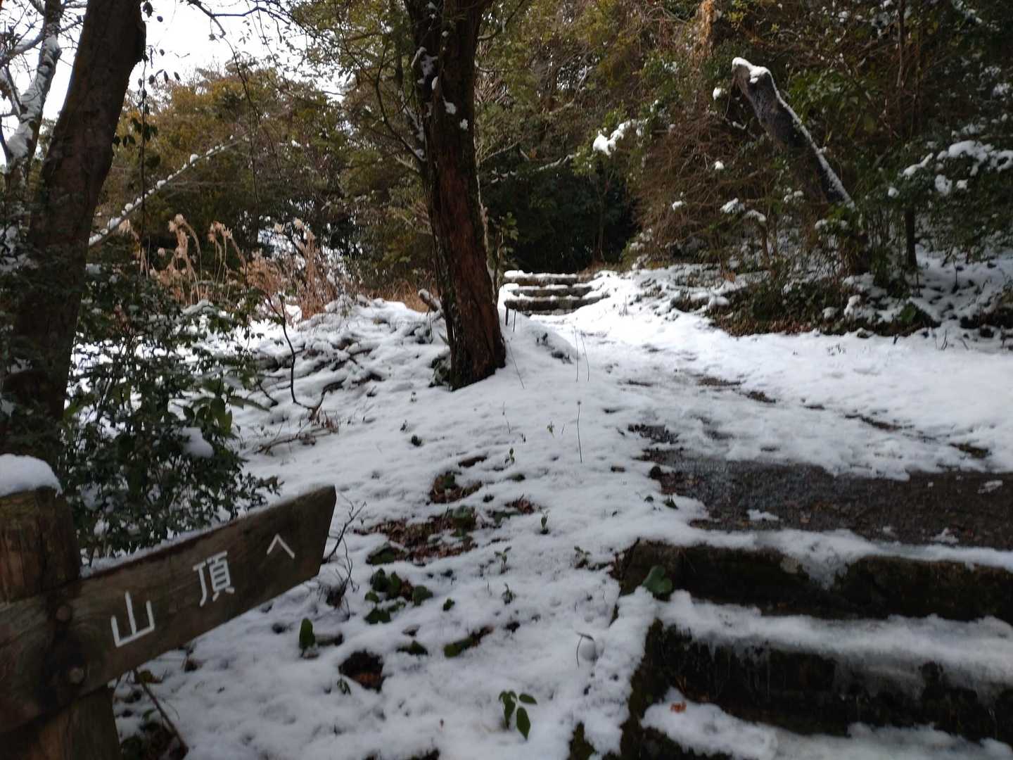 鳥居を潜ると、いきなり雪と氷です。
