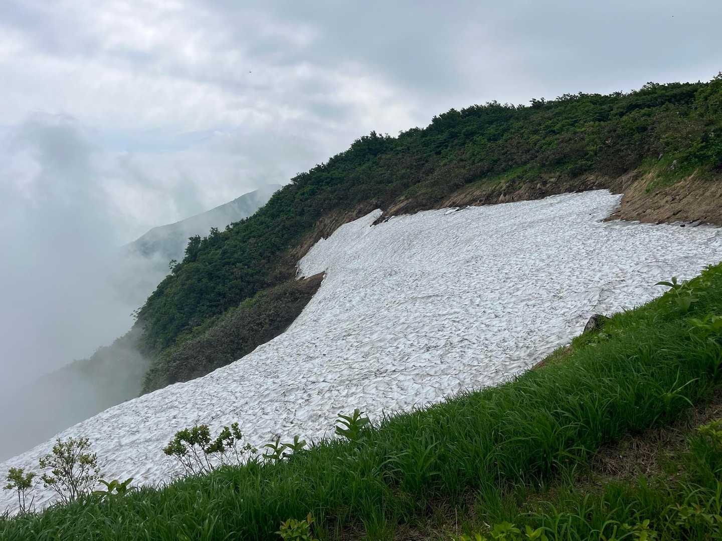保久礼小屋登山口-大岳-守門岳 往復コースの写真