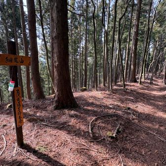 細尾山（標高 871）通過
