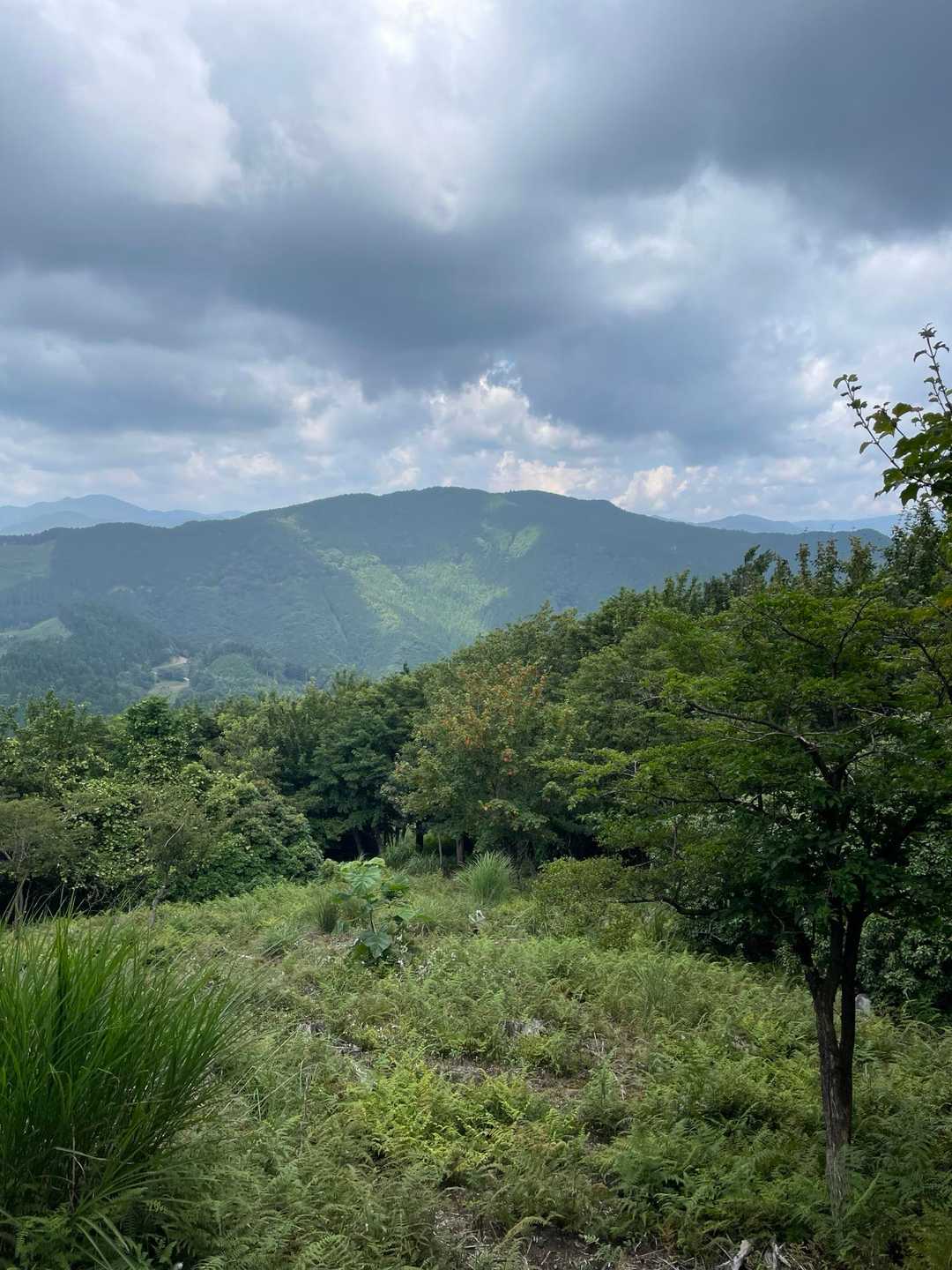 最後の登り野っ原に出ました
振り返って阿舎利山