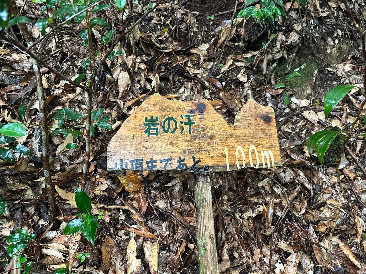 行縢山登山口-行縢山 往復コースの写真