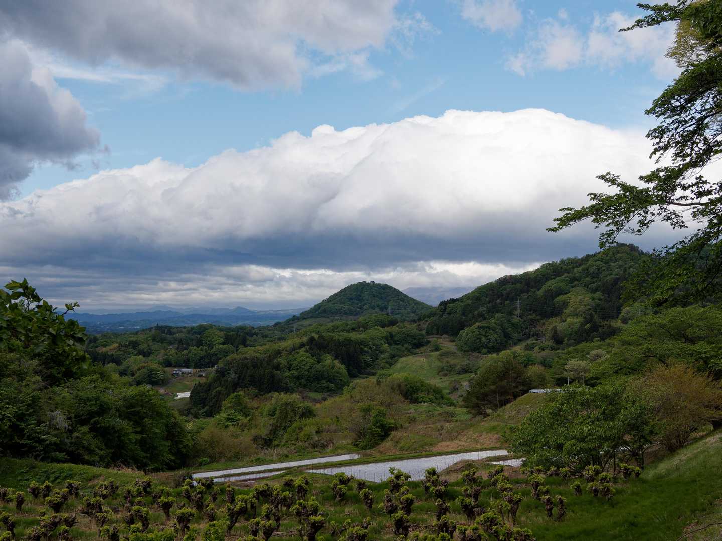 正面にこの後行く予定の千貫森⛰️
確かにUFOが降りてきそうな形してる😁