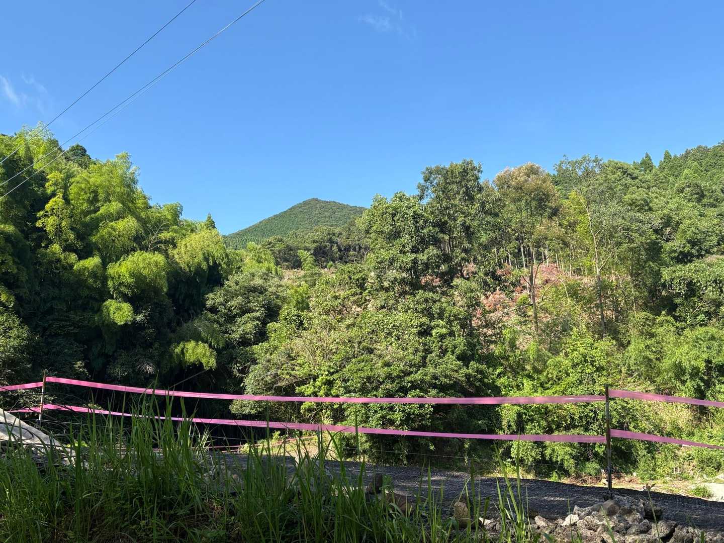 ありがとう花尾山⛰️