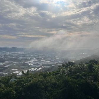 蒸し暑くて、汗ダクダク
