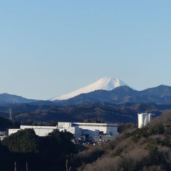 天覧山からの富士山