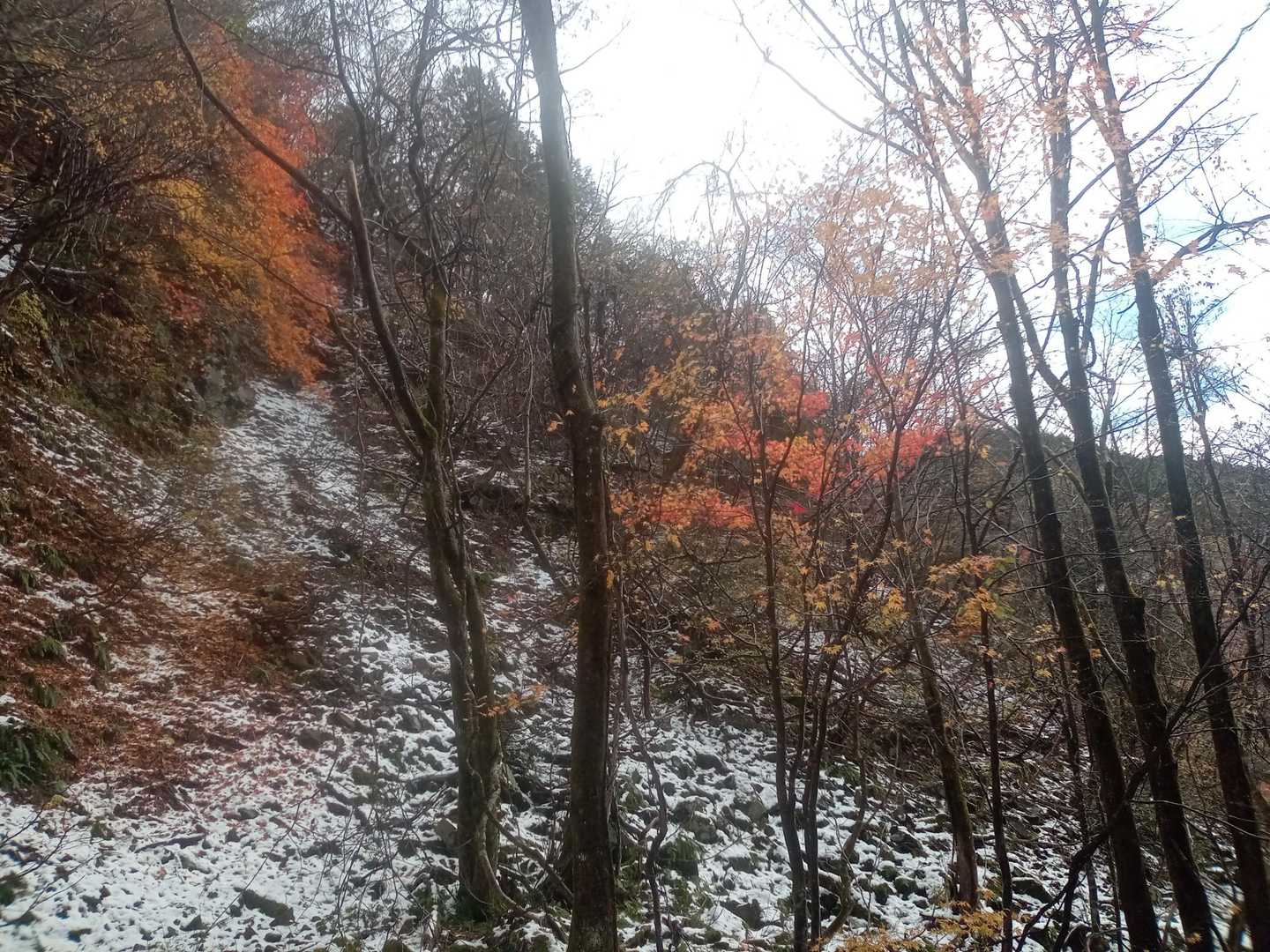 左門岳 往復コースの写真
