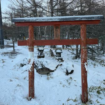 山の神！お邪魔します！