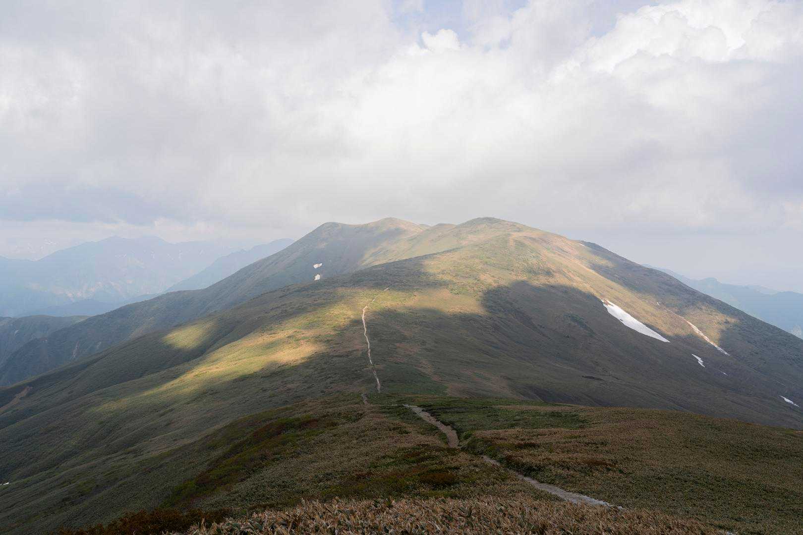 ちょっとだけ仙ノ倉山方面に下ってお花を見ることに。