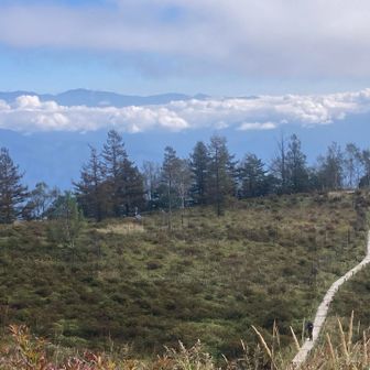 歩いて来た木道