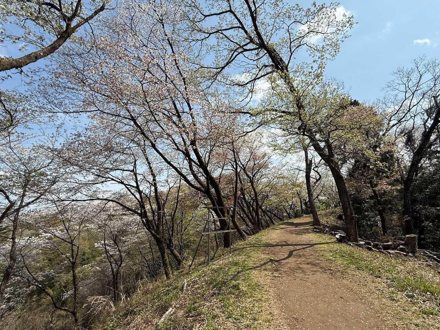 八菅いこいの森入口-やなみ峠-鳶尾山 往復コースの写真