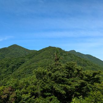 1つ1つ結構アップダウンがある