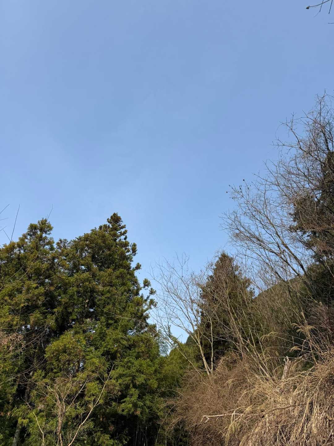 曇りやないやん　晴れとる☀️
ウヒョー　ありがたい