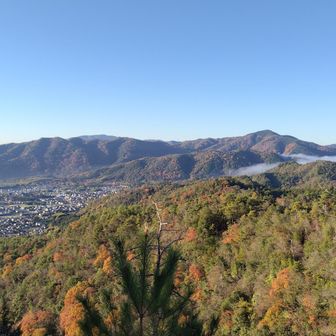 あの山の反対側が保津川。
晩秋の嵐山は、さぞ、紅葉で美しかろう。

なお、「嵯峨野」の地名の由来については坂あるいは険し（さがし）などの地形に由来するという説もあるが、なるほど、と納得する眺め。
