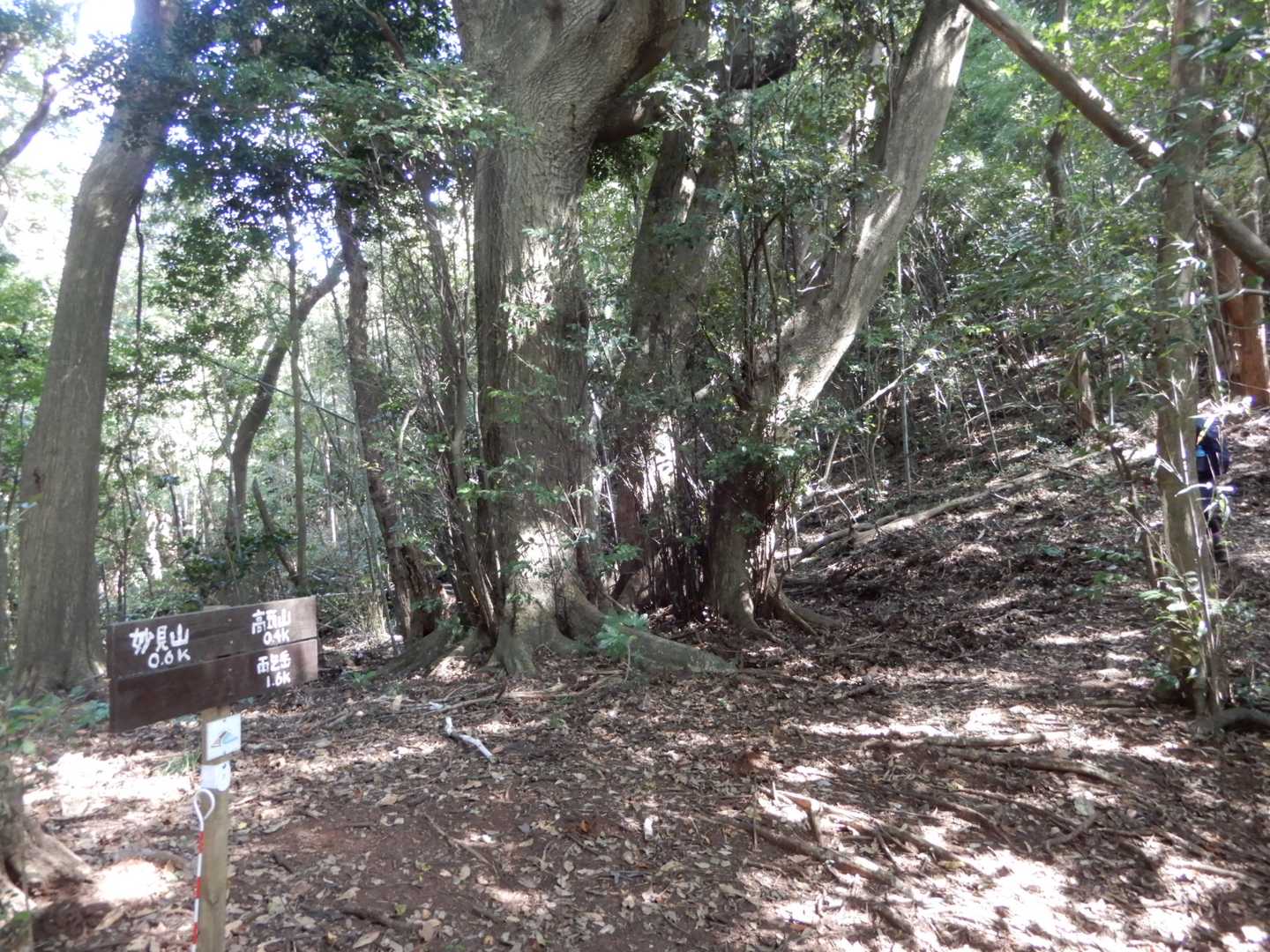 高頭山-みのが峠-雨乞岳 周回コースの写真