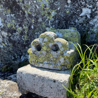 山頂に何かありました🙏