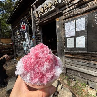 富士見平標小屋で
火照った体にかき氷🍧
栃木県民だし、いつもならいちごやけど
山梨だし巨峰にしてみた
