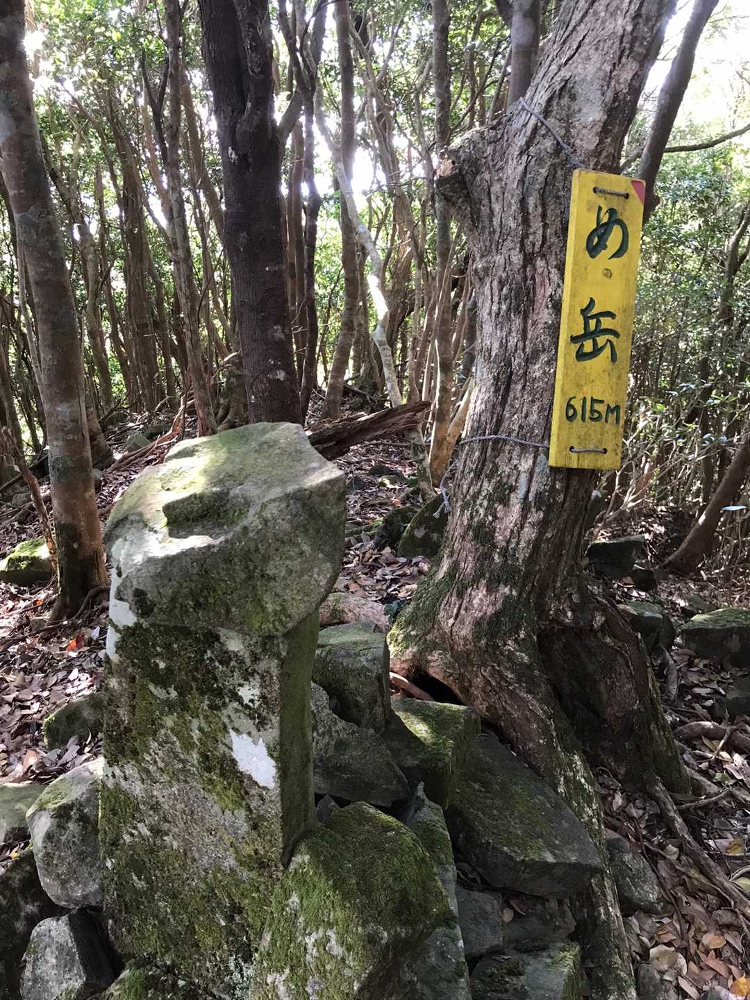 鞍部に下り、さらに急な直登をがんばると、女岳に着きました。