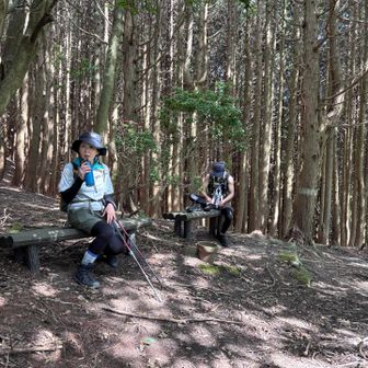 休憩ばっかり

実は自分も金曜日辺りから調子が悪くて､
凄くダルい😓

この二日後にとうとう発熱
夏風邪と診断されました🤒
