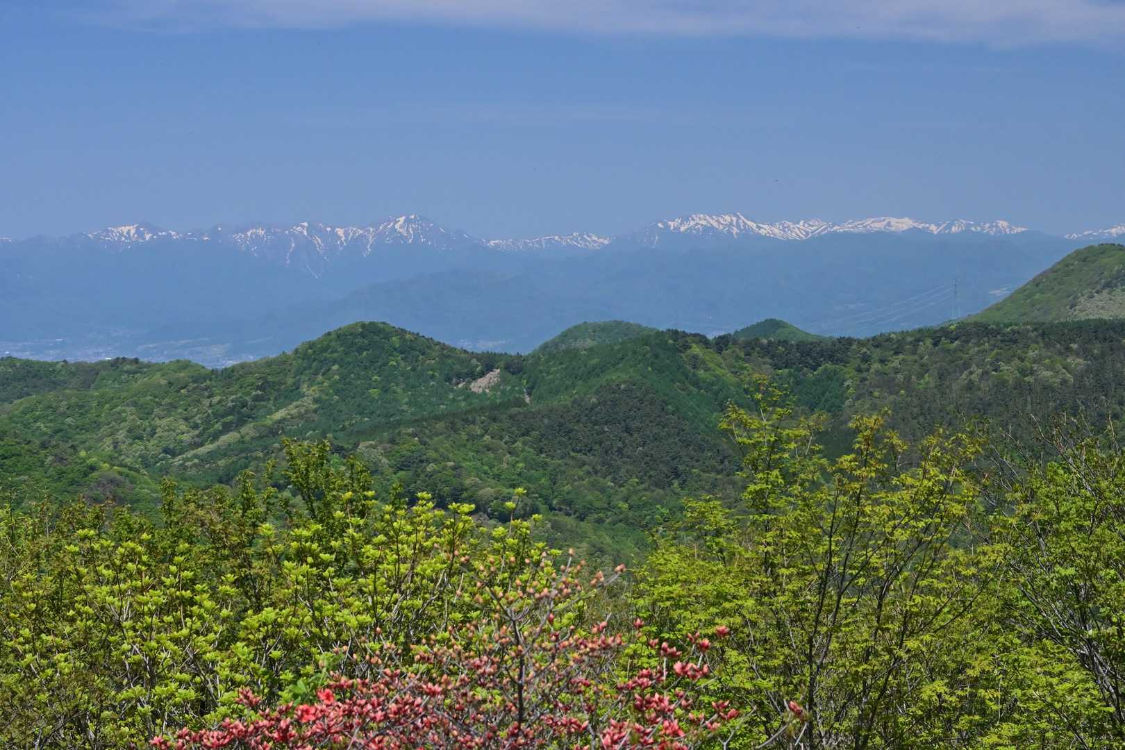 目につく形の良い山は……