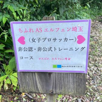 要約するとトレーニングコースじゃないでよい？