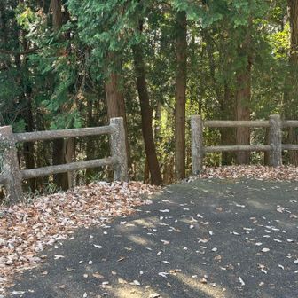 舗装道横にある山頂への入口