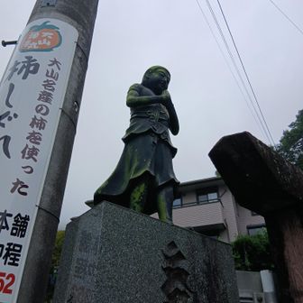 曇り空
というか雲の中