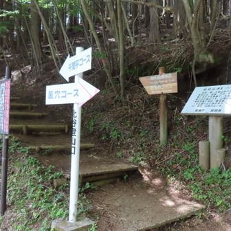 無事に千間平コースにて北谷登山口へ下山、感謝🙇