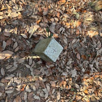 地蔵山の本当のピークはこの三角点の奥。