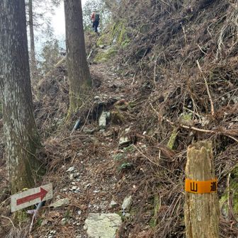矢印の方向へ↗️