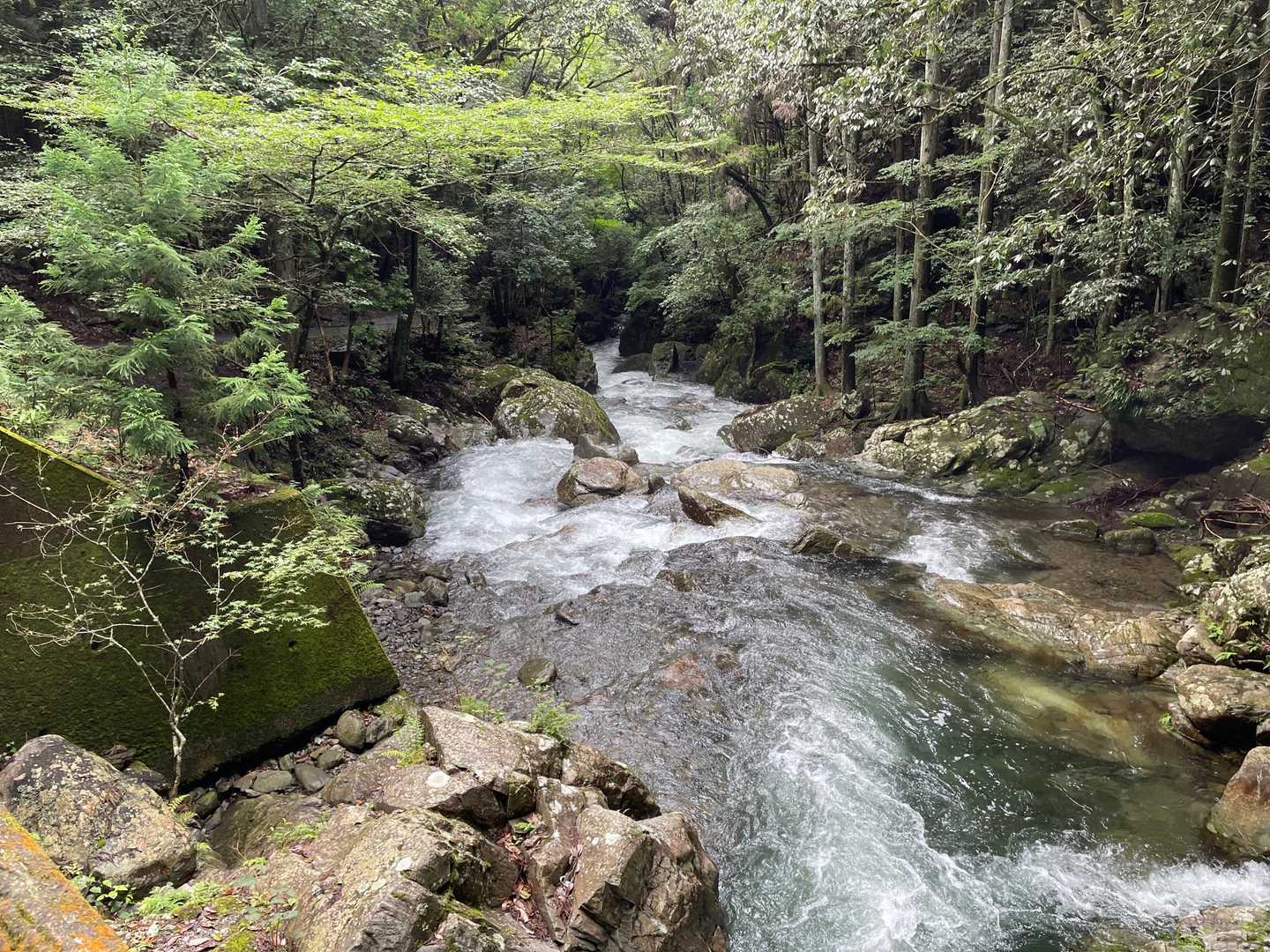 下山は所々駆け足で！