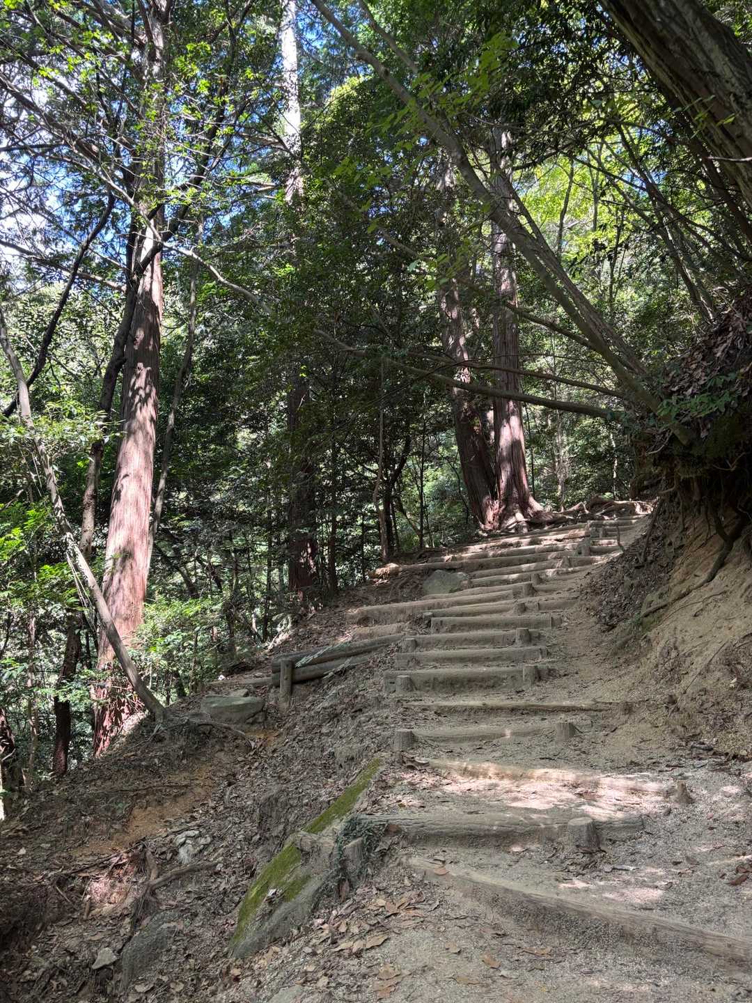 東昌寺-東の宮-猿投山 縦走コースの写真