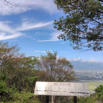 借り払われて!
ケヤキの大木は…
無理かなぁ😅