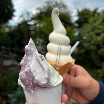 ちぃちぃ