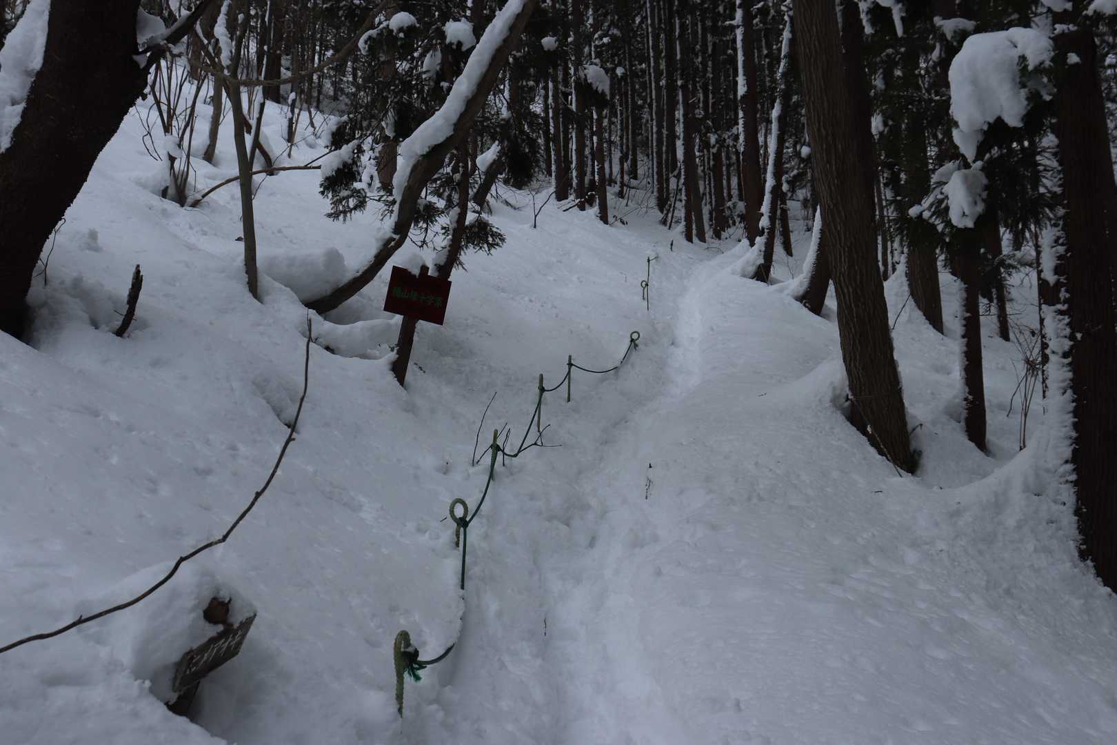 ここから急です。
