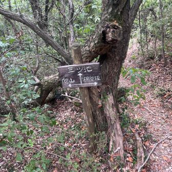 三ツ池との分岐