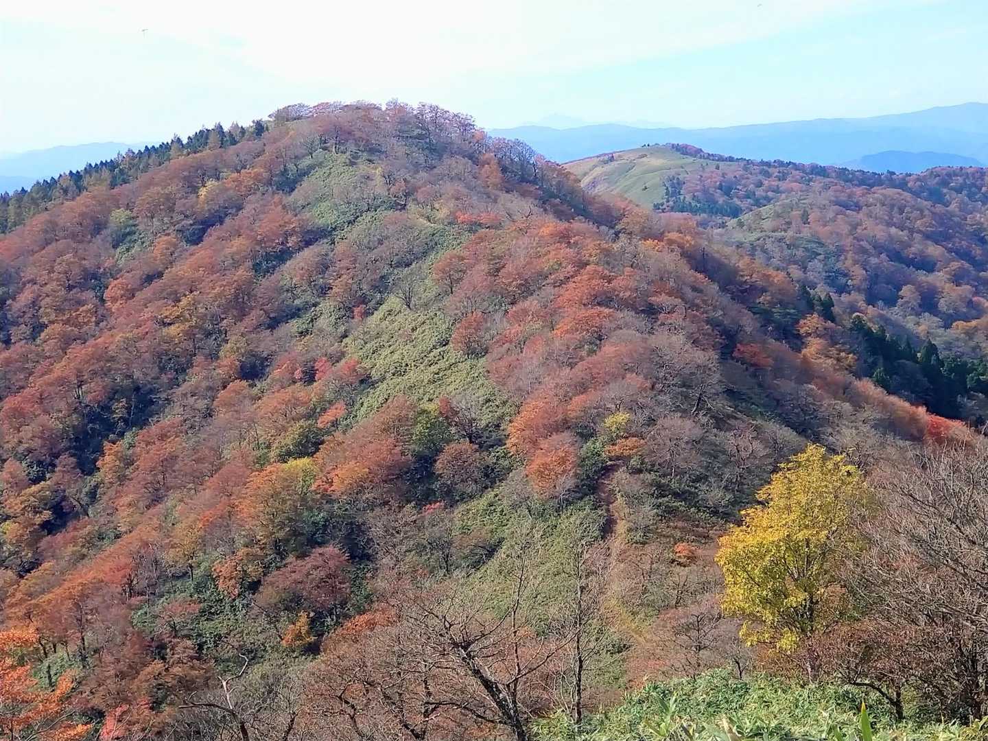 駒の尾山-鍋ヶ谷山-船木山-後山 往復コースの写真