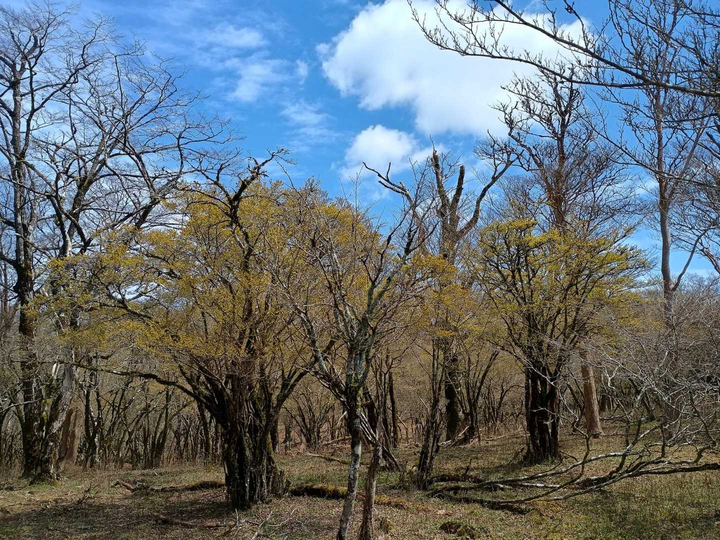 たくさん集まると壮観💛